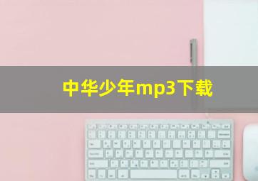 中华少年mp3下载