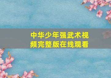 中华少年强武术视频完整版在线观看