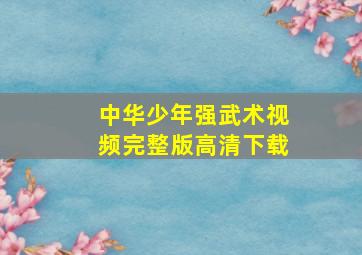 中华少年强武术视频完整版高清下载