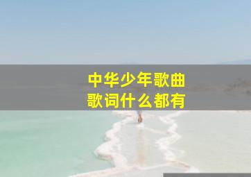 中华少年歌曲歌词什么都有