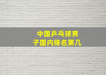 中国乒乓球男子国内排名第几