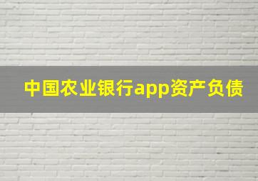 中国农业银行app资产负债