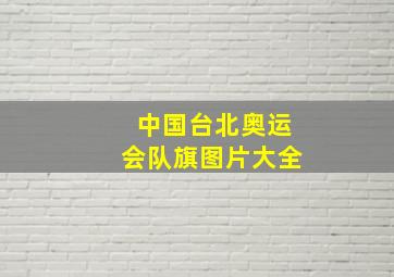 中国台北奥运会队旗图片大全