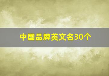 中国品牌英文名30个