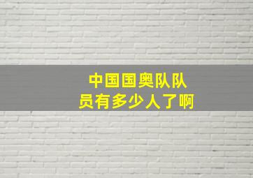 中国国奥队队员有多少人了啊