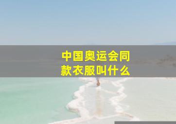 中国奥运会同款衣服叫什么