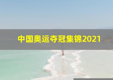 中国奥运夺冠集锦2021