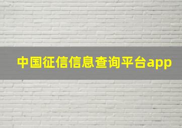 中国征信信息查询平台app