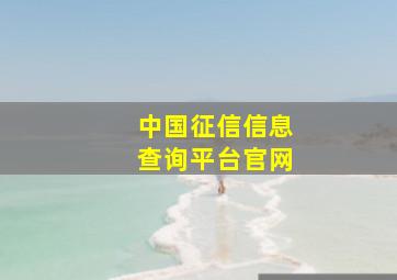 中国征信信息查询平台官网