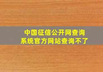 中国征信公开网查询系统官方网站查询不了