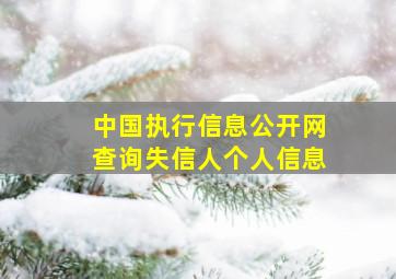 中国执行信息公开网查询失信人个人信息