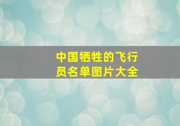 中国牺牲的飞行员名单图片大全