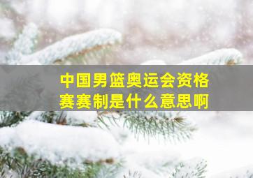 中国男篮奥运会资格赛赛制是什么意思啊