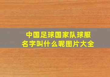 中国足球国家队球服名字叫什么呢图片大全