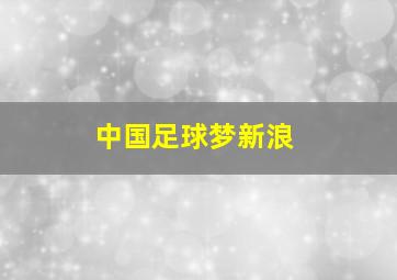 中国足球梦新浪