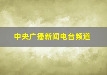 中央广播新闻电台频道