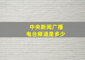 中央新闻广播电台频道是多少