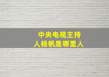 中央电视主持人杨帆是哪里人