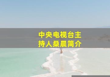 中央电视台主持人桑晨简介