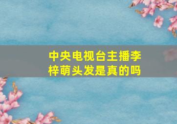 中央电视台主播李梓萌头发是真的吗