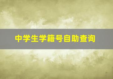 中学生学籍号自助查询