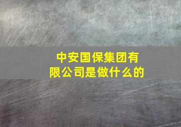 中安国保集团有限公司是做什么的