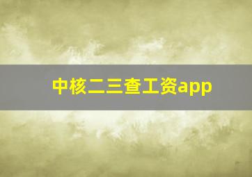 中核二三查工资app