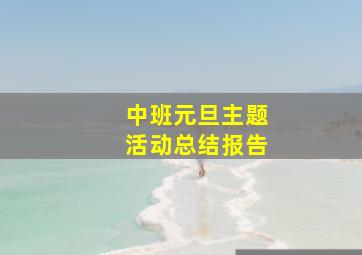 中班元旦主题活动总结报告