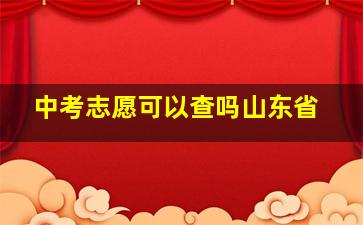 中考志愿可以查吗山东省