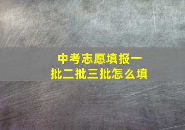 中考志愿填报一批二批三批怎么填