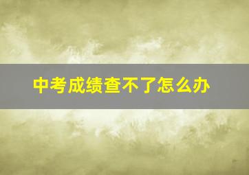 中考成绩查不了怎么办