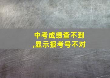 中考成绩查不到,显示报考号不对