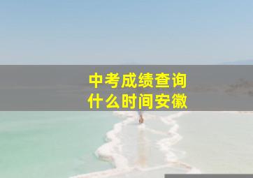 中考成绩查询什么时间安徽