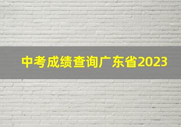 中考成绩查询广东省2023