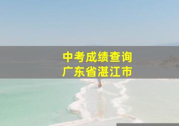 中考成绩查询广东省湛江市