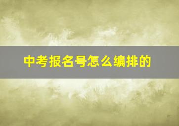 中考报名号怎么编排的