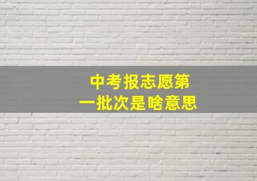 中考报志愿第一批次是啥意思