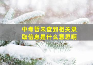 中考暂未查到相关录取信息是什么意思啊