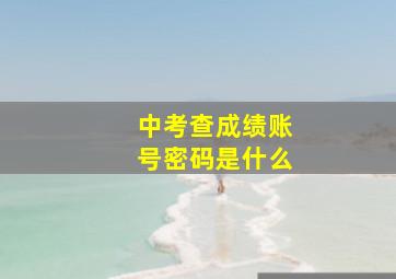 中考查成绩账号密码是什么