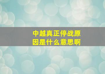 中越真正停战原因是什么意思啊