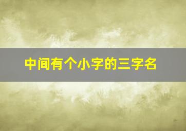 中间有个小字的三字名