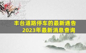 丰台道路停车的最新通告2023年最新消息查询