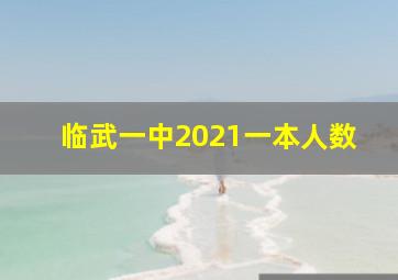 临武一中2021一本人数