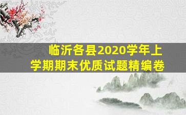 临沂各县2020学年上学期期末优质试题精编卷