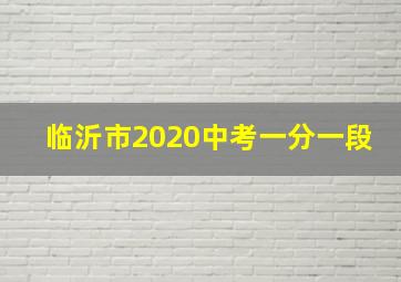 临沂市2020中考一分一段