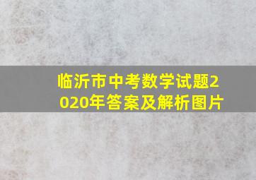 临沂市中考数学试题2020年答案及解析图片