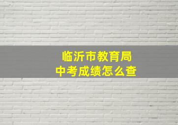 临沂市教育局中考成绩怎么查