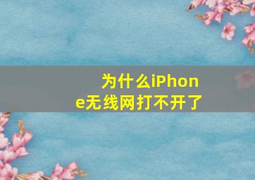 为什么iPhone无线网打不开了