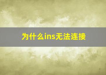 为什么ins无法连接