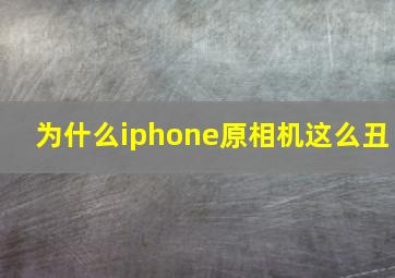 为什么iphone原相机这么丑